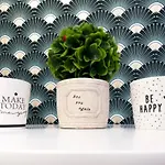 Classy Boutique